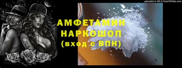 ешки Алексин