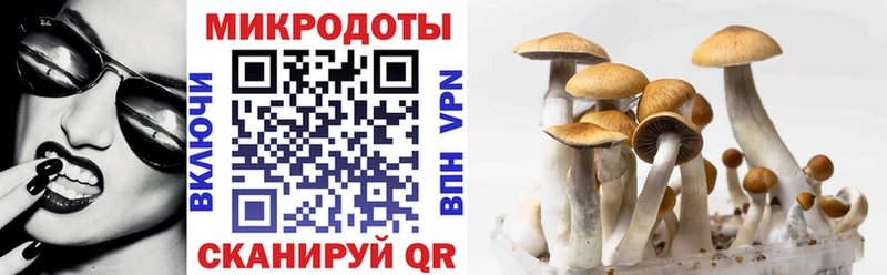 где продают наркотики Плавск Галлюциногенные грибы Magic Shrooms